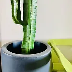 Casaglo Appartement