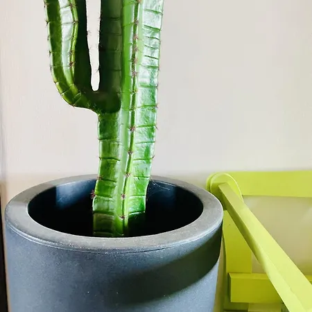 Casaglo Apartamento