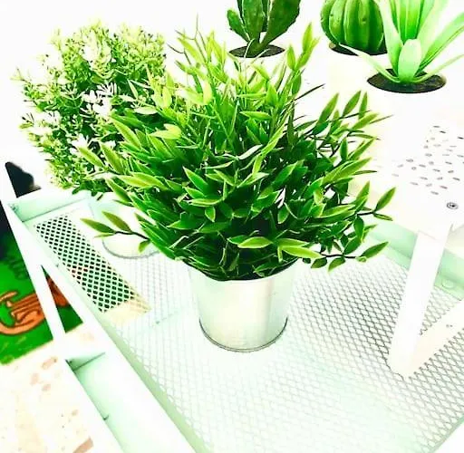 Appartement Casaglo *