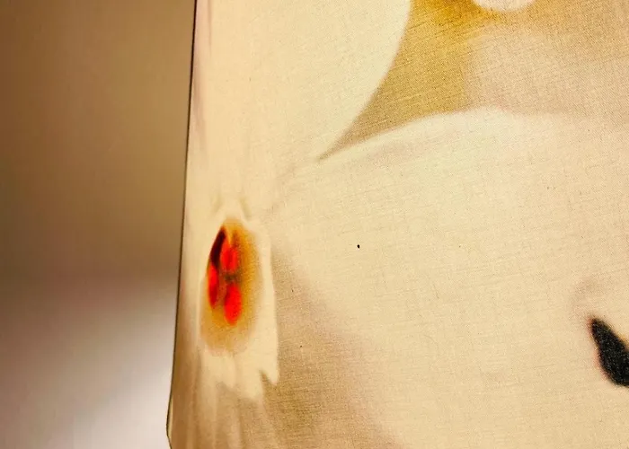 Appartement Casaglo *